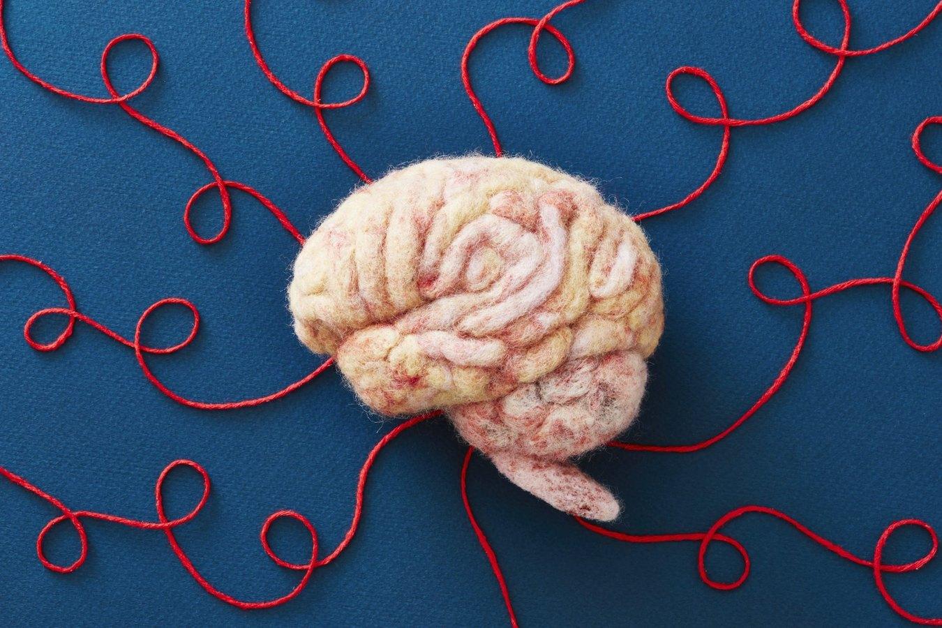 Michael Pollan lança 'A World Appears' e aprofunda a busca pelo mistério da consciência