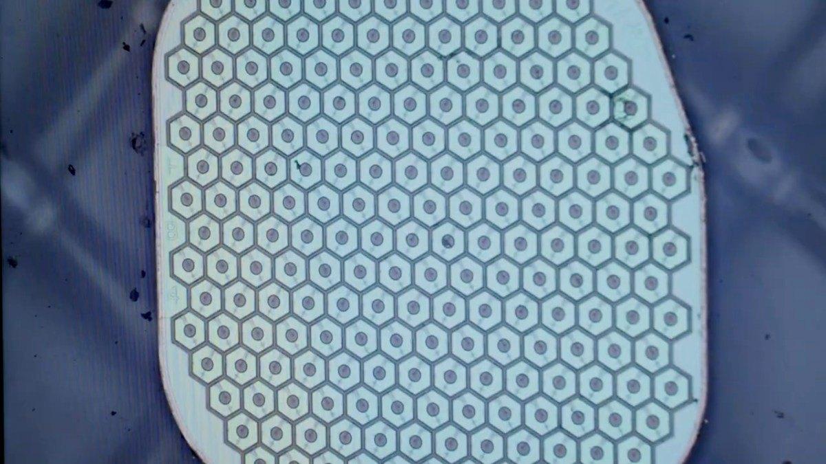 Science Corp. de Max Hodak prepara implantação do primeiro sensor bio-híbrido no cérebro humano