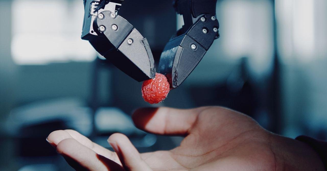 Robôs com inteligência física: a revolução da startup Eka em manipulação autônoma