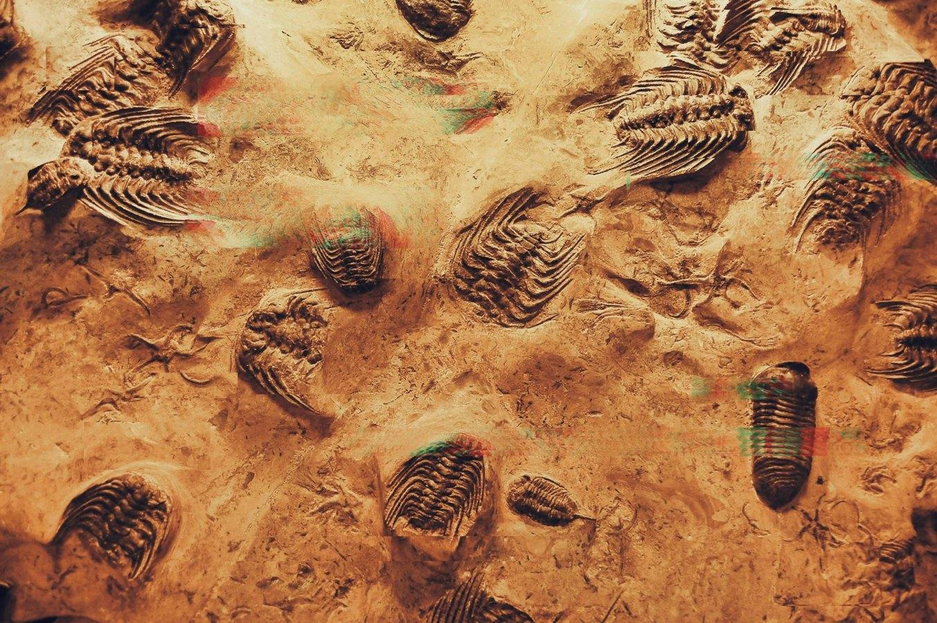 IA Evolutiva: Estamos à Beira da Próxima Grande Transição Evolutiva?