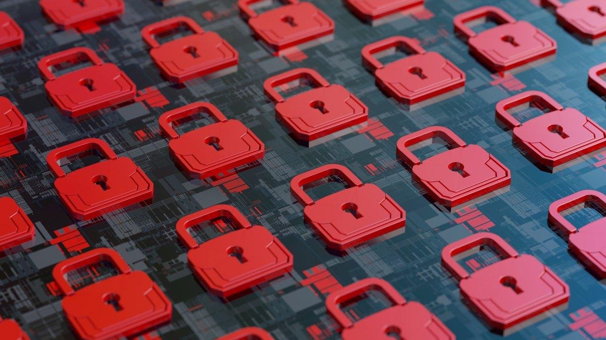 Cyera mira avaliação de US$ 12 bilhões com múltiplo de 80x ARR mesmo com prejuízos operacionais