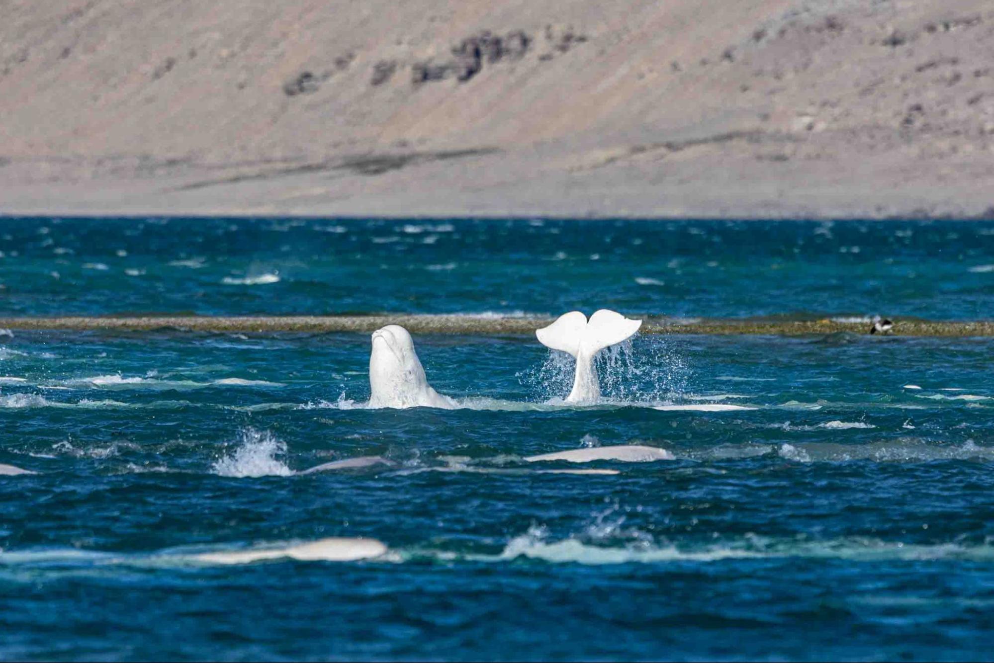 Imagem relacionada ao artigo de Google Research