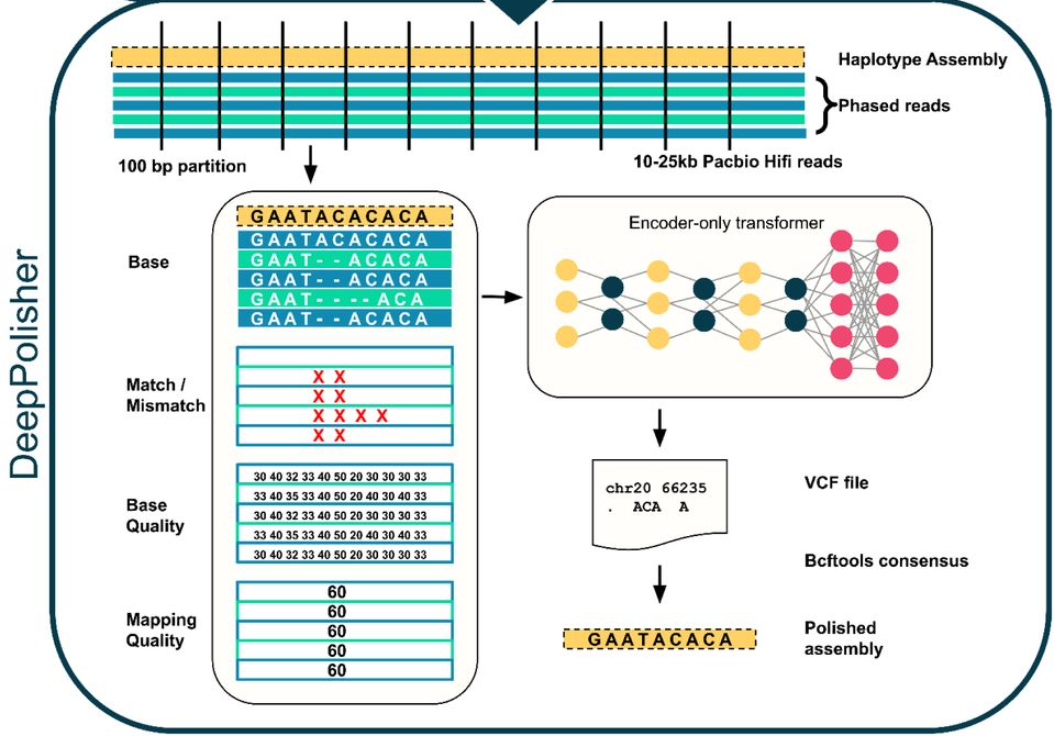 Imagem relacionada ao artigo de Google Research