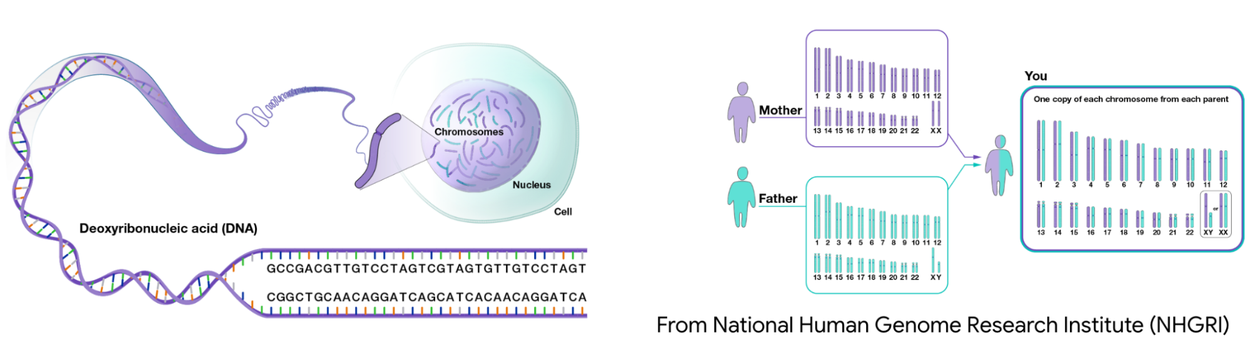 Imagem relacionada ao artigo de Google Research