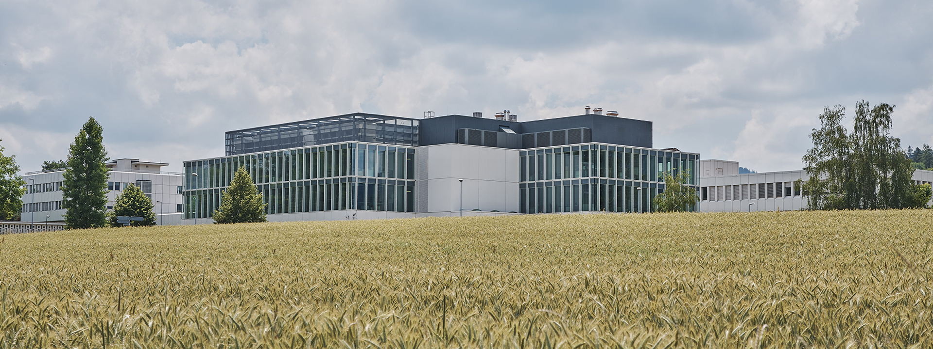 Imagem relacionada ao artigo de IBM AI