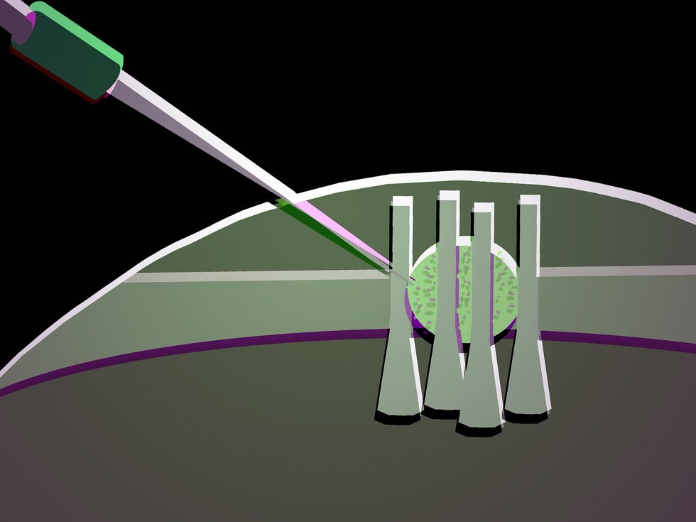 Imagem relacionada ao artigo de IEEE Spectrum AI