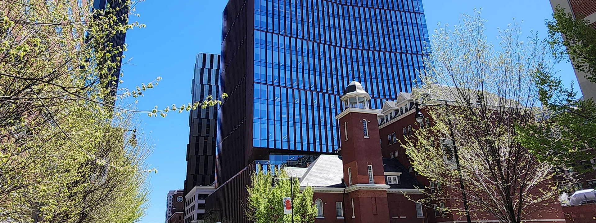 Imagem relacionada ao artigo de IBM AI